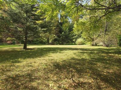 1116 Main Street, Vestal, 紐約州 13850, 美國