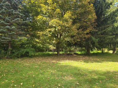 1116 Main Street, Vestal, 紐約州 13850, 美國