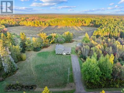 4911 ROUTE 11, Wellington, Prens Edward Adası C0B 2E0, Kanada