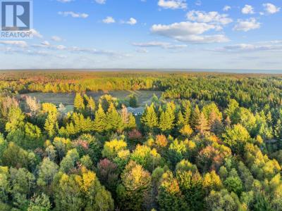 4911 ROUTE 11, Wellington, Prens Edward Adası C0B 2E0, Kanada