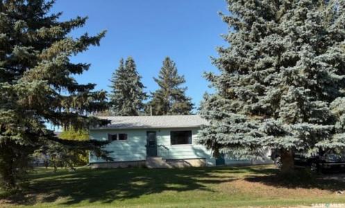 311 7TH STREET, Star City, 萨斯喀彻温省 S0E 1P0, 加拿大