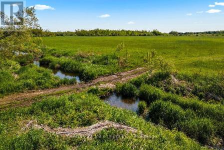 375533 6TH LINE, Amaranth, Ontario L9V 1K8, Kanada