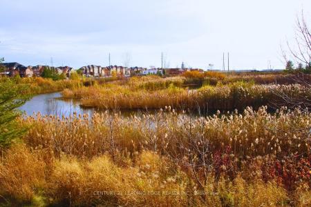 30 HAMMERSMITH LANE, Markham, אונטריו L6C 0Z5, קנדה 