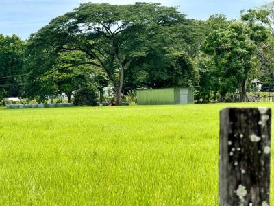 Jacó Jacó Garabito, Puntarenas 61101, Costa Rica