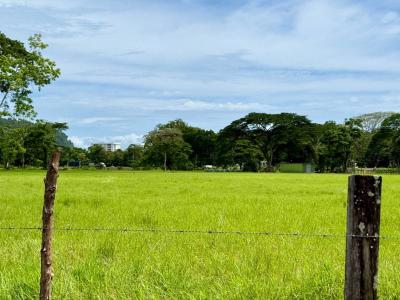 Jacó Jacó Garabito, Puntarenas 61101, Costa Rica