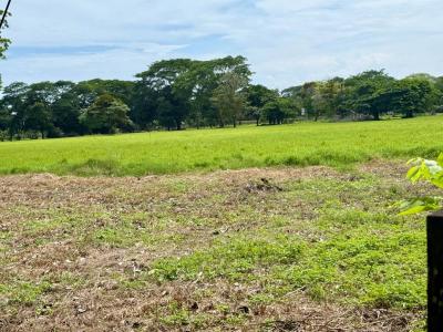 Jacó Jacó Garabito, Puntarenas 61101, Costa Rica