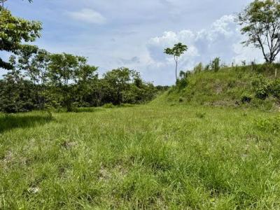 Tárcoles Tárcoles Garabito, Puntarenas 61102, Costa Rica