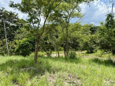 Tárcoles Tárcoles Garabito, Puntarenas 61102, Costa Rica