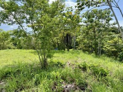 Tárcoles Tárcoles Garabito, Puntarenas 61102, Costa Rica