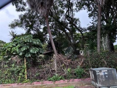 Asunción Belén, Heredia 00001, Costa Rica