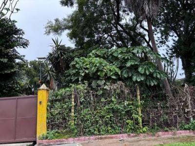 Asunción Belén, Heredia 00001, Costa Rica