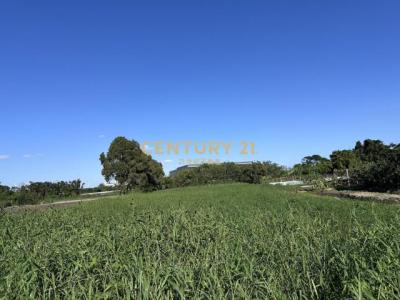 上田段, 楊梅區, Taoyuan 326, Tajwan