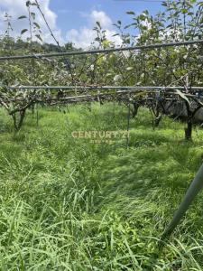 牛稠坑, Houli Dist., Taichung 421, Tayvan