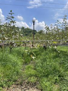 牛稠坑, Houli Dist., Taichung 421, Tayvan