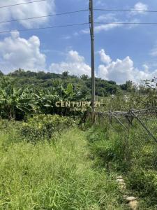 牛稠坑, Houli Dist., Taichung 421, Tayvan