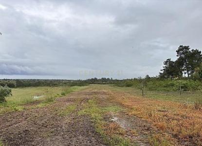 Aguiar Da Beira, 瓜達區 2100-126, 葡萄牙