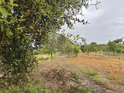 Aguiar Da Beira, 瓜達區 2100-126, 葡萄牙