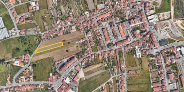 Vagos, Aveiro 3840-001, Portugal