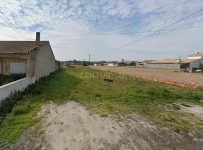 Vagos, Aveiro 3840-001, Portugal