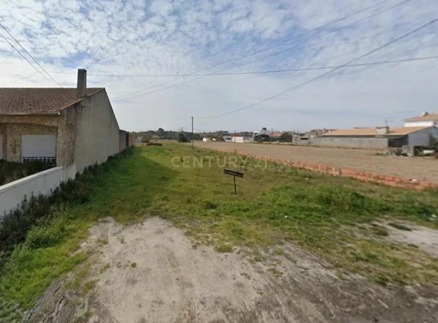 Vagos, Aveiro 3840-001, Portugal