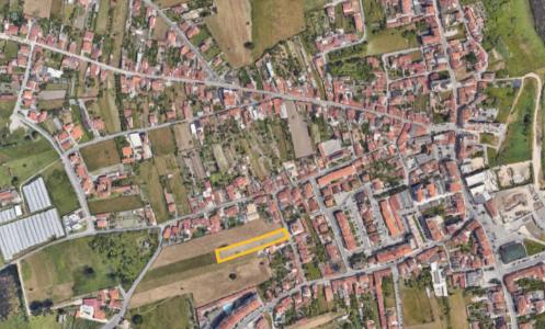 Vagos, Aveiro 3840-001, Portugal