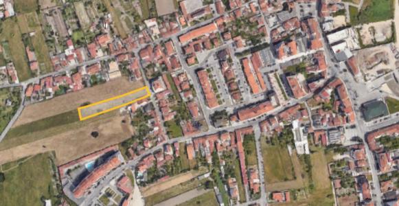 Vagos, Aveiro 3840-001, Portugal