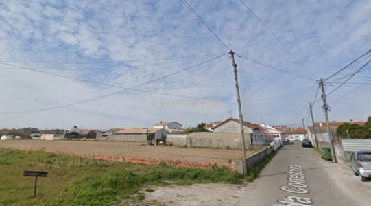 Vagos, Aveiro 3840-001, Portugal