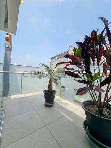 Alonso de Molina 748, Lima, Lima 00001, 페루