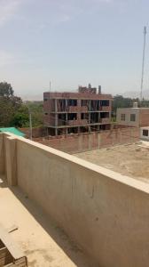 Pago del Ñoco Alto, Toma de Chamana , Chincha, Ica 00001, Peru