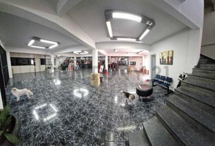 San Lorenzo, Central 00001, Paraguay