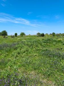 Exaltación De La Cruz, GBA Norte 2812, Argentina