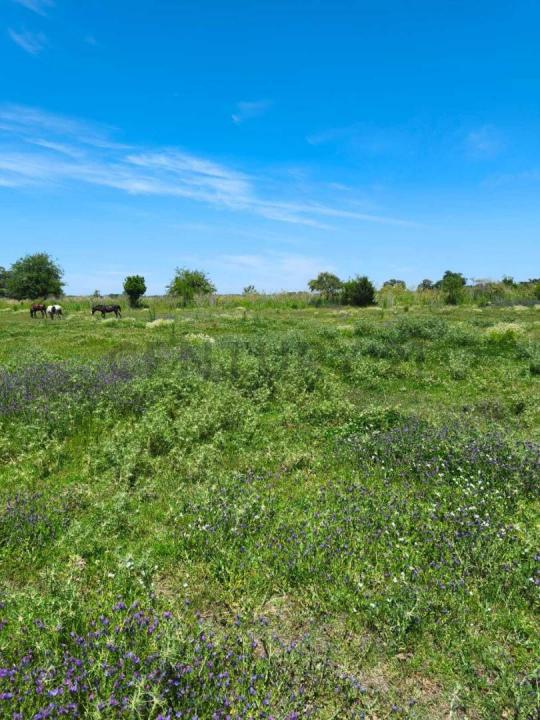 Exaltación De La Cruz, GBA Norte 2812, Argentina