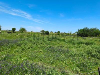 Exaltación De La Cruz, GBA Norte 2812, Argentina