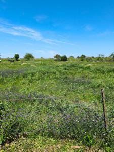 Exaltación De La Cruz, GBA Norte 2812, Argentina