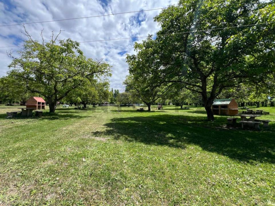 Tunuyán, Mendoza 00001, Argentine