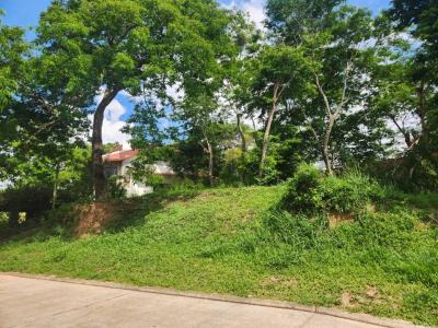 URUBO GREEN , Urubo, Santa Cruz 00001, Bolivia