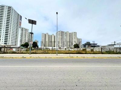 Elqui, Coquimbo 00001, Chili