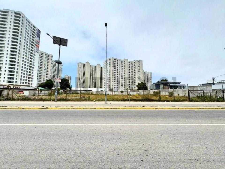 Elqui, Coquimbo 00001, Chi-Lê