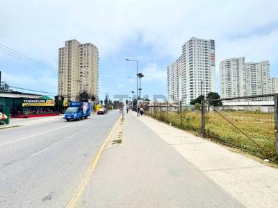 Elqui, Coquimbo 00001, Chi-Lê