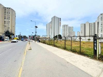 Elqui, Coquimbo 00001, Chi-Lê