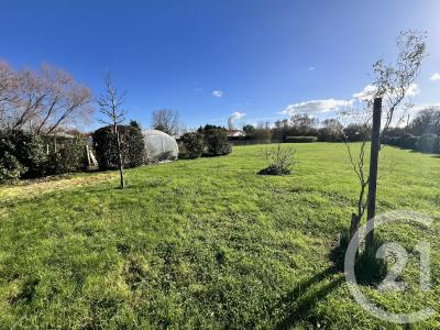 Le Perrier, Pays De La Loire 85300, France