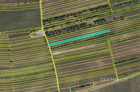 Velké Pavlovice, Břeclav 100 00, Чешская Республика