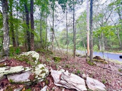 52 Devlin Road, Highland Lake, New York 12743, USA