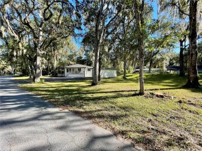 3786 CR 405N, Lake Panasoffkee, Florida 33538