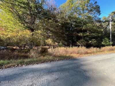 Lot 247 Squirrel Road, Dingmans Ferry, Pennsylvanie 18328, États-Unis