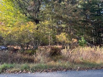 Lot 247 Squirrel Road, Dingmans Ferry, Pennsylvania 18328, Estados Unidos