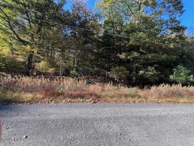 Lot 247 Squirrel Road, Dingmans Ferry, Pennsylvania 18328, Estados Unidos