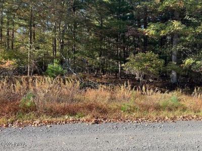 Lot 247 Squirrel Road, Dingmans Ferry, Pennsylvania 18328, Estados Unidos