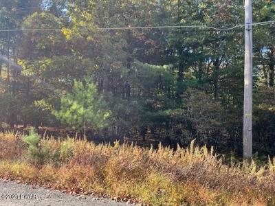 Lot 247 Squirrel Road, Dingmans Ferry, Pennsylvania 18328, Estados Unidos