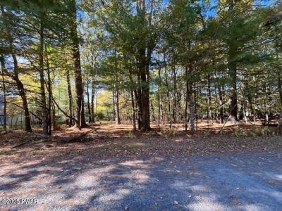 Lot 226 Hound Road, Dingmans Ferry, 宾夕法尼亚州 18328, 美国